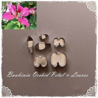Bauhinia Orchid and Leaves Cutters