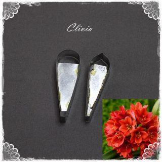 Clivia Flower Cutter